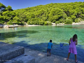 Plaže [15]