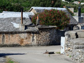 Otok Brač [13]