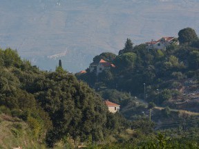 Otok Brač [17]