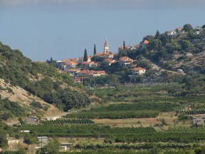 Otok Brač [29]