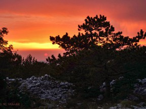 Otok Brač [5]