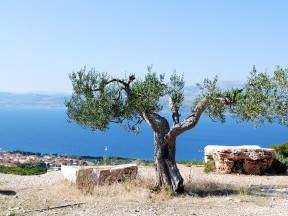 Island Brac
 [55]